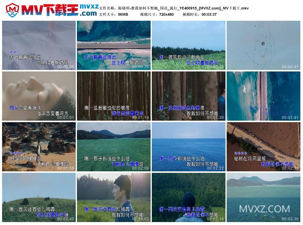 陈晓明-教我如何不想她_国语_流行_YE400915